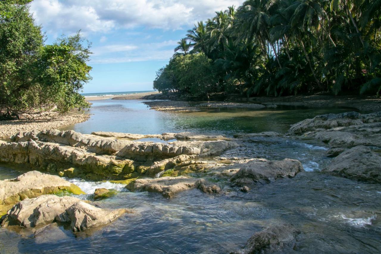 Villas Cabuya Beach & Jungle ภายนอก รูปภาพ